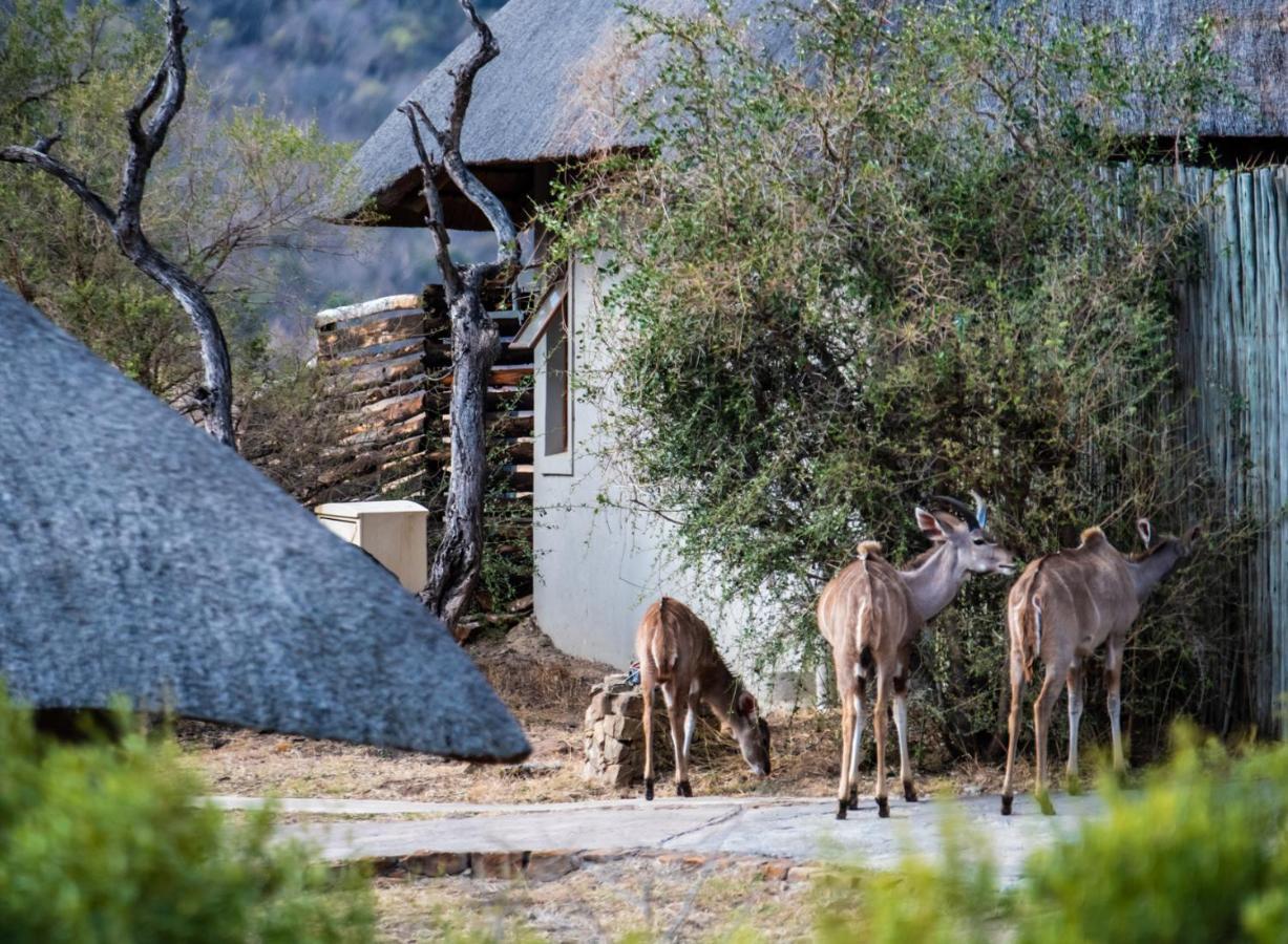 Lions Valley Lodge Ladysmith Bagian luar foto